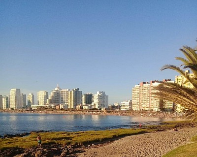 Punta del Este educación canina