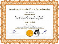 diploma