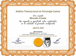 diploma