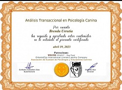 diploma